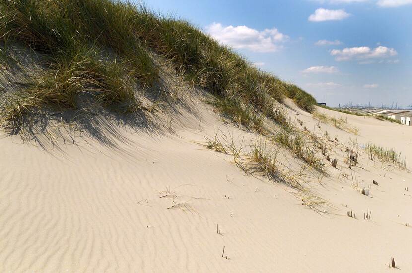 Strand Nederland